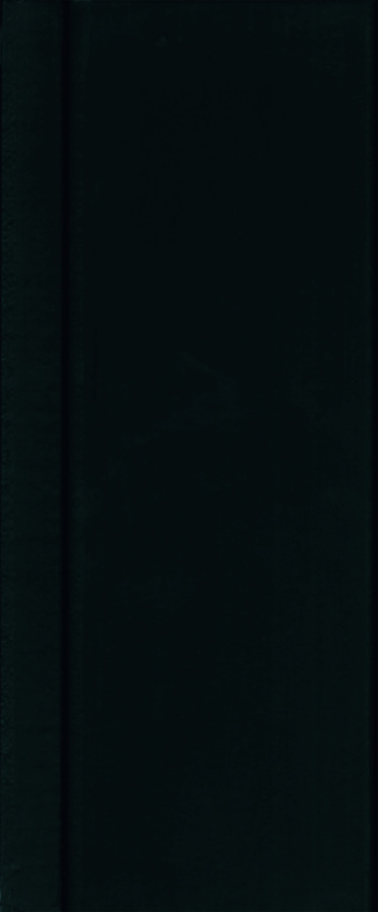 H-2905 Tiefschwarz (RAL 9005)