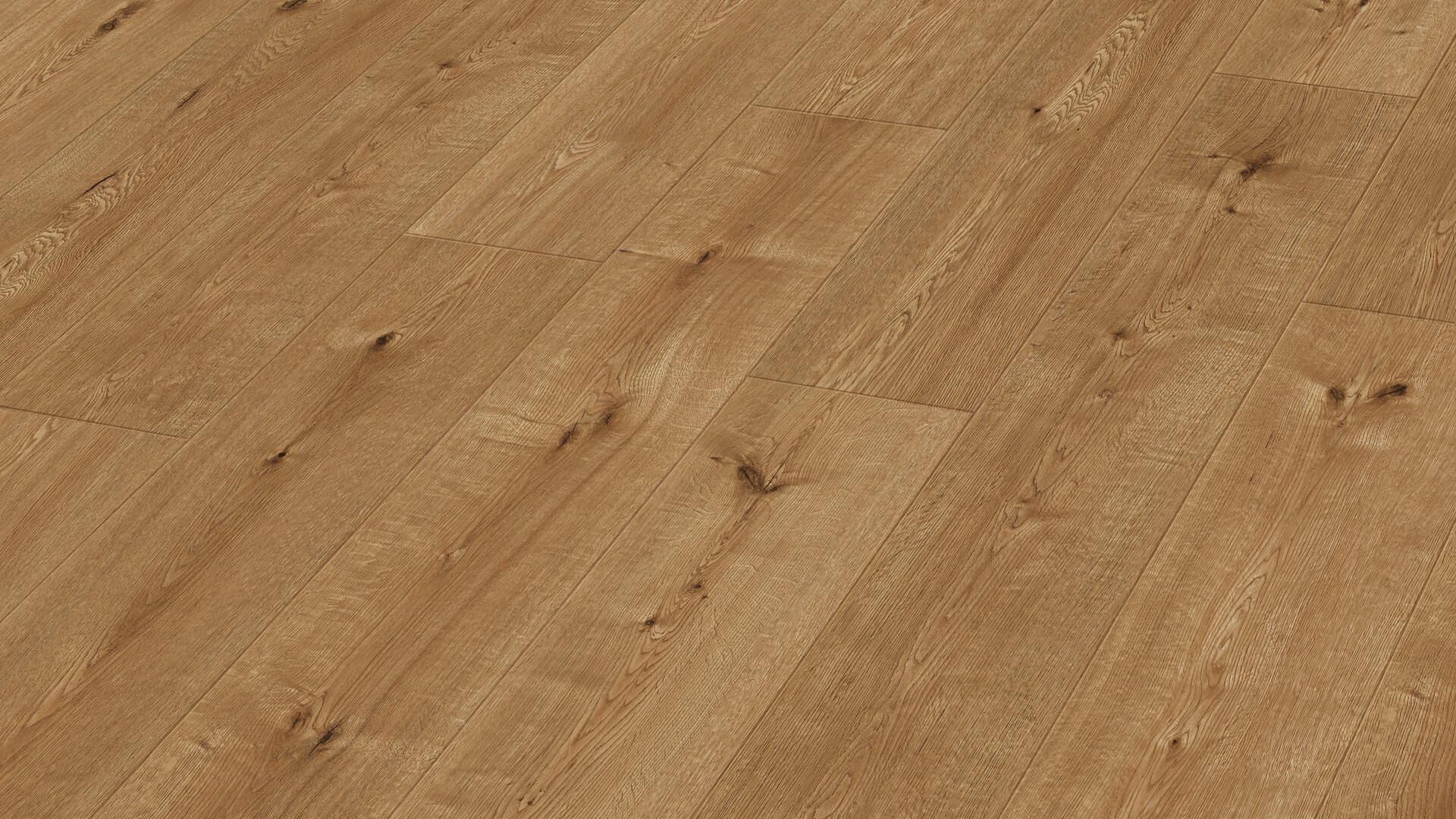 Hill Oak 7153