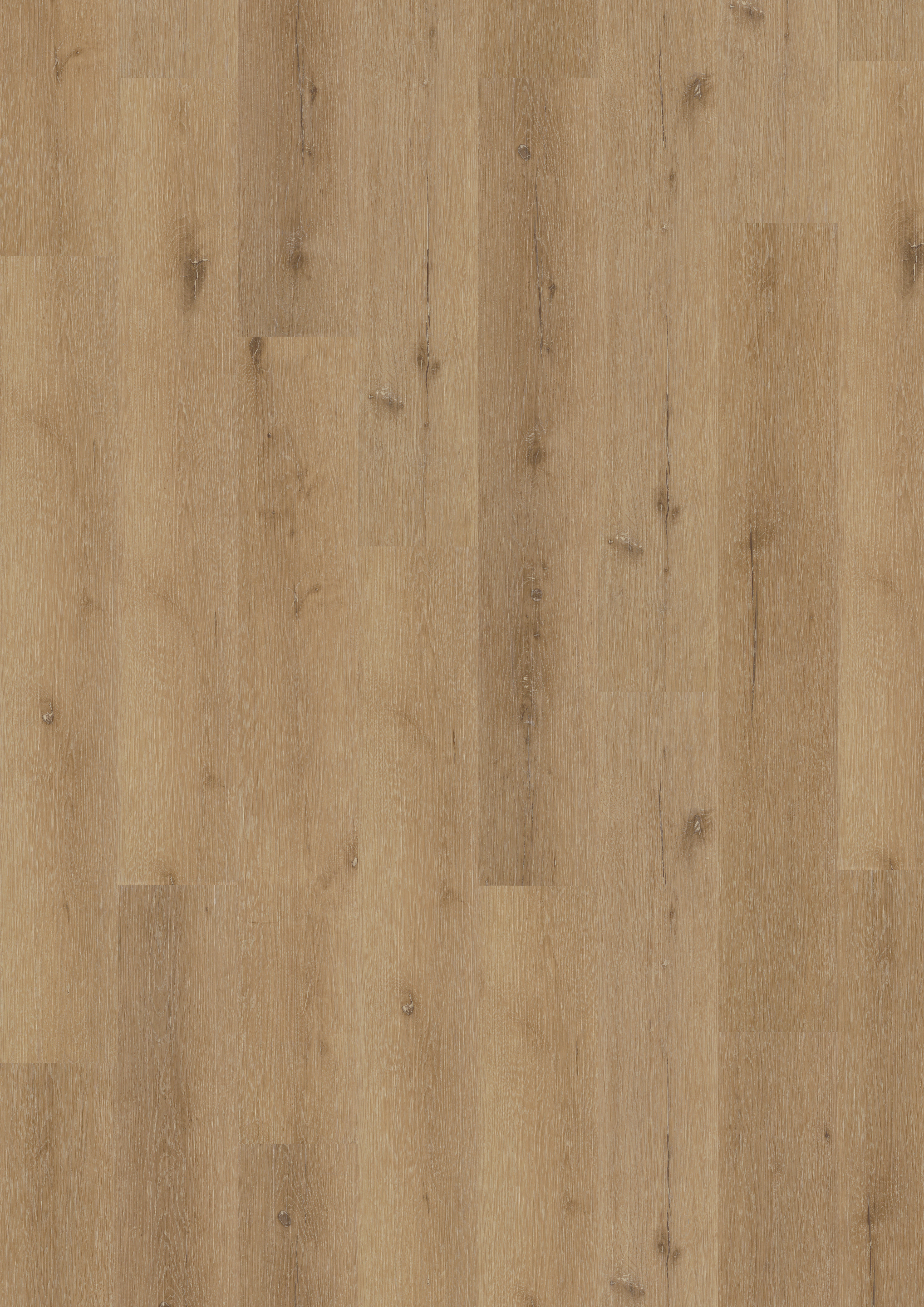 A´viva Vinyl LHD Basic Design Eiche, NS 0,2mm