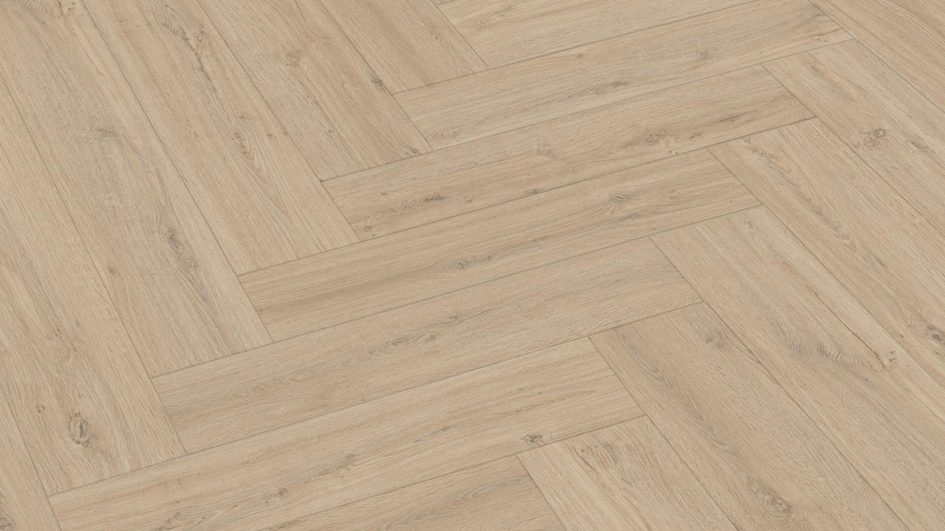 Felseneiche sand 07122
