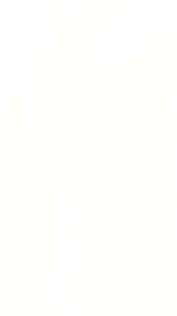 20128_tertio_DP200_Frontal-600x1066