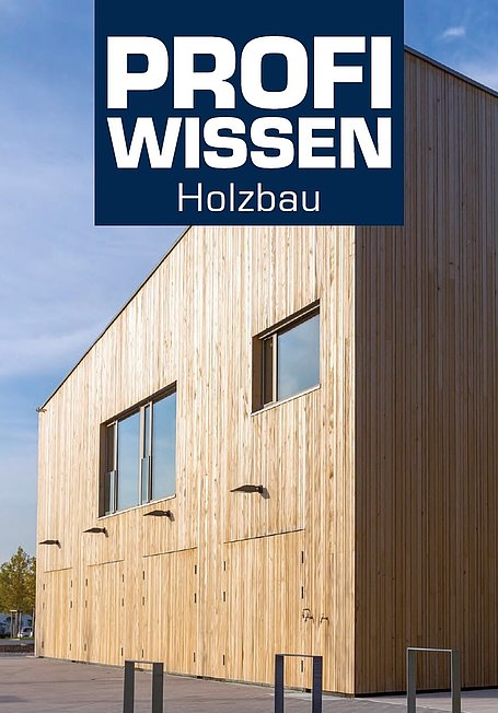 Profiwissen Holzbau