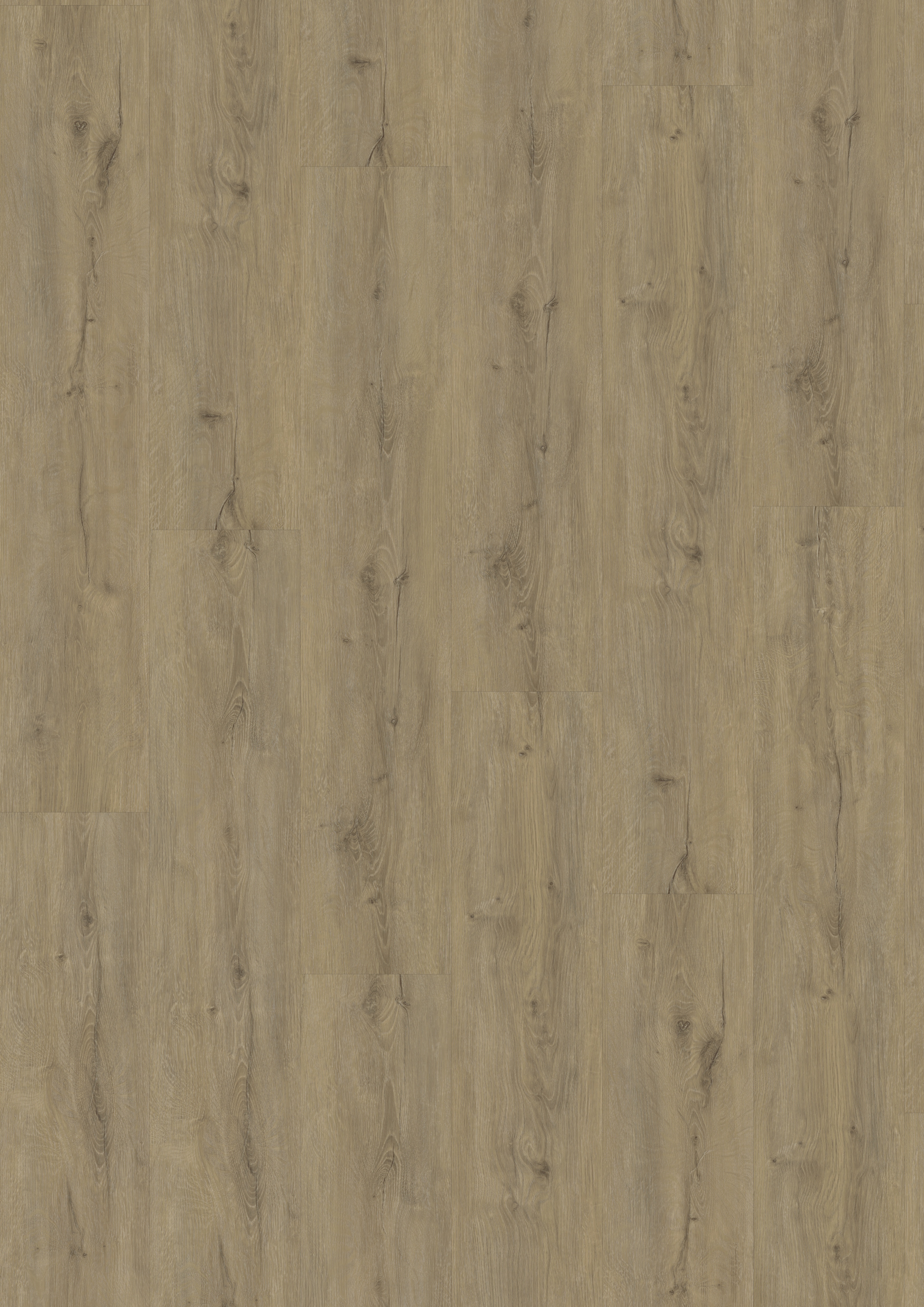 A´viva Rigid-Vinyl LHD Premium inkl. TS 4V, Design Eiche Graubraun, NS 0,5mm