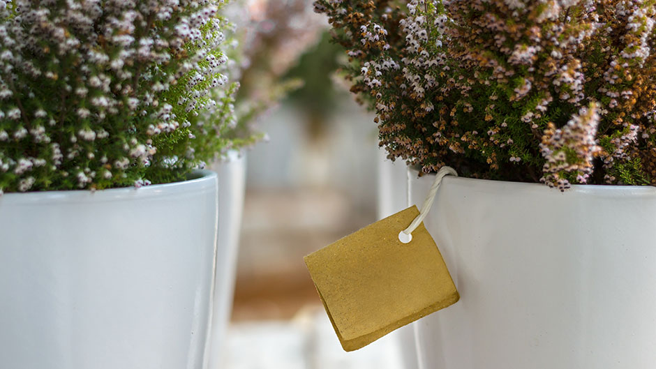 Blumentoepfe