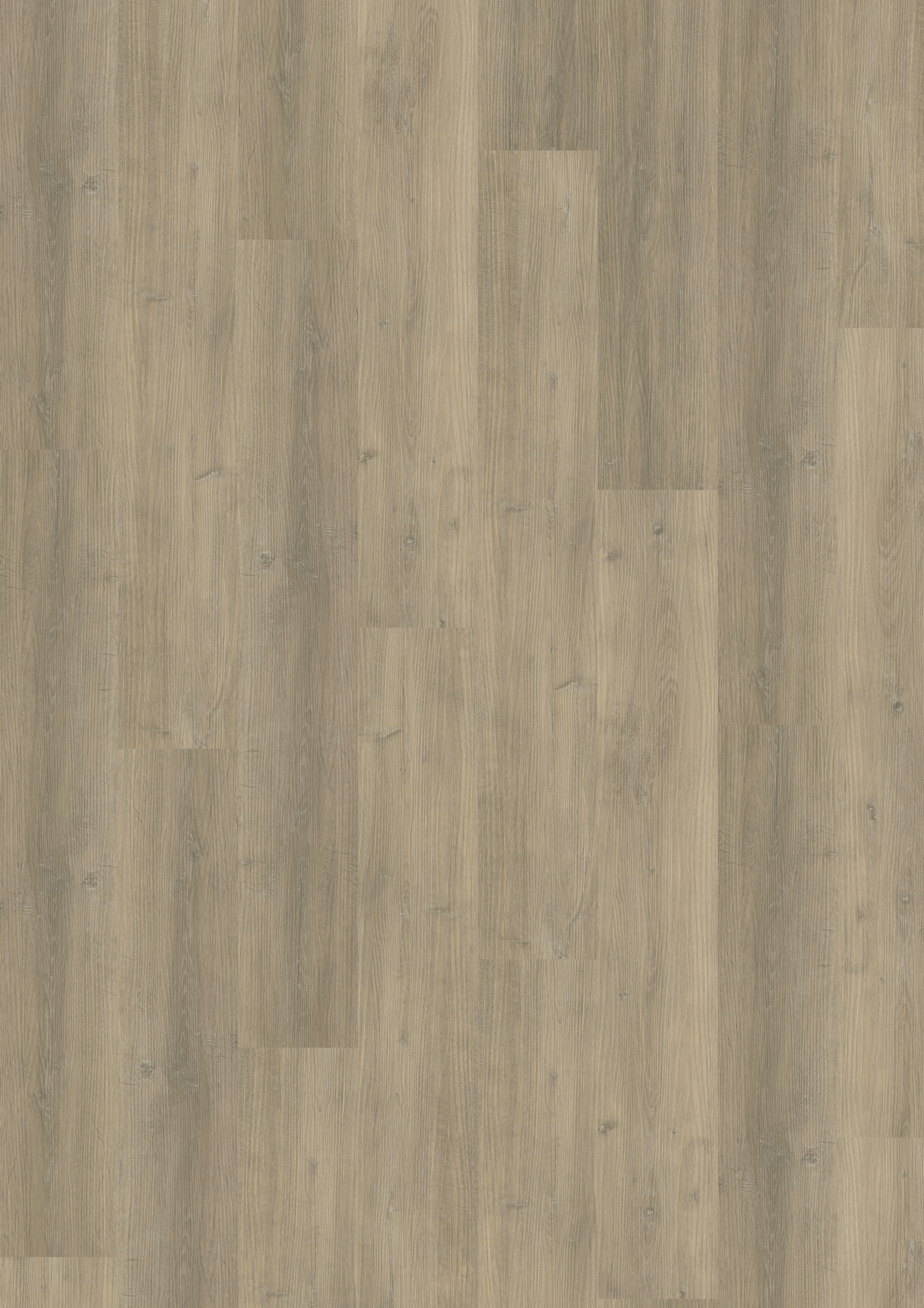 A´viva Rigid-Vinyl LHD Classic inkl. TS 4V, Design Eiche Creme, NS 0,3mm