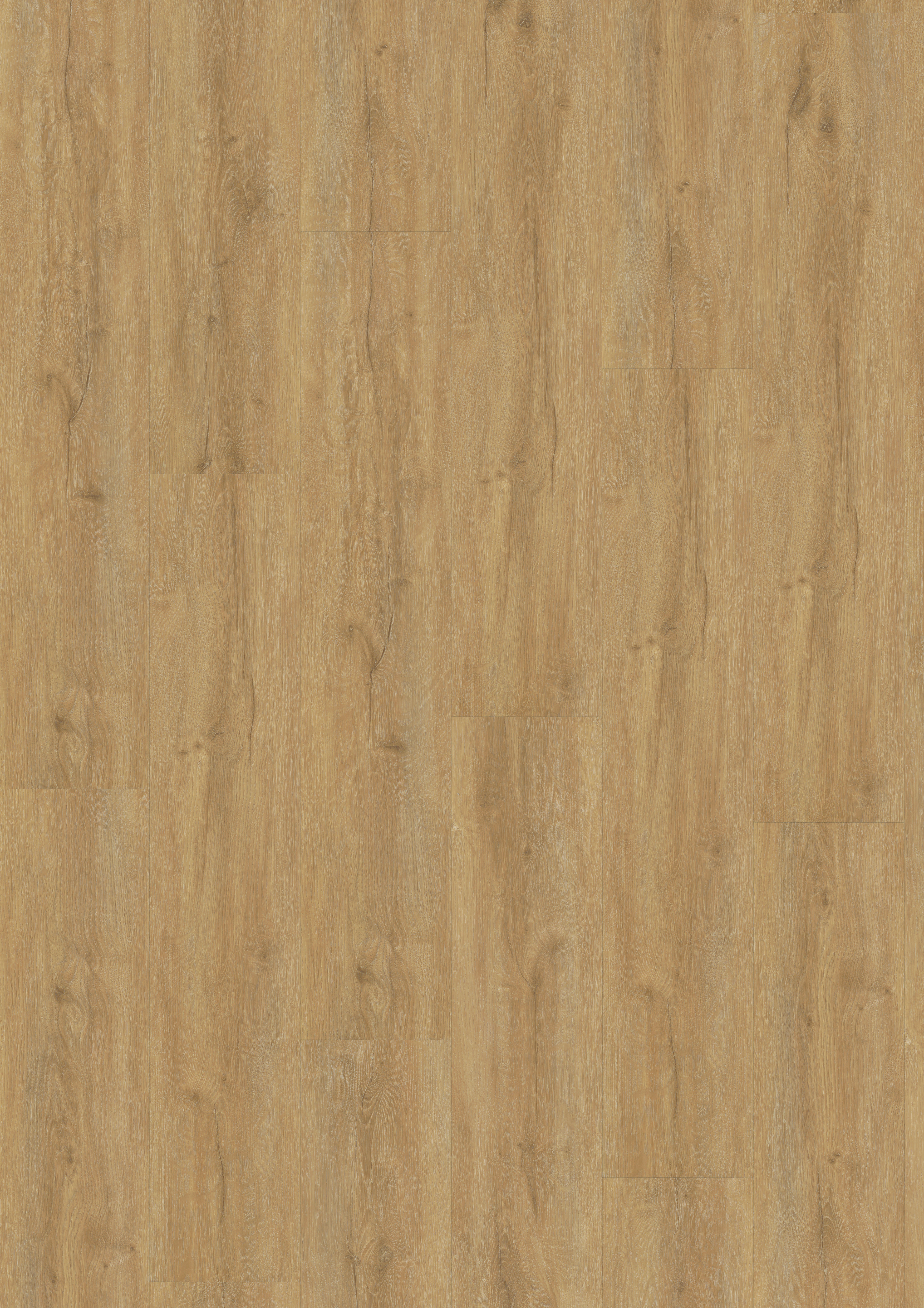 A´viva Rigid-Vinyl LHD Premium inkl. TS 4V, Design Eiche Natural hell, NS 0,5mm