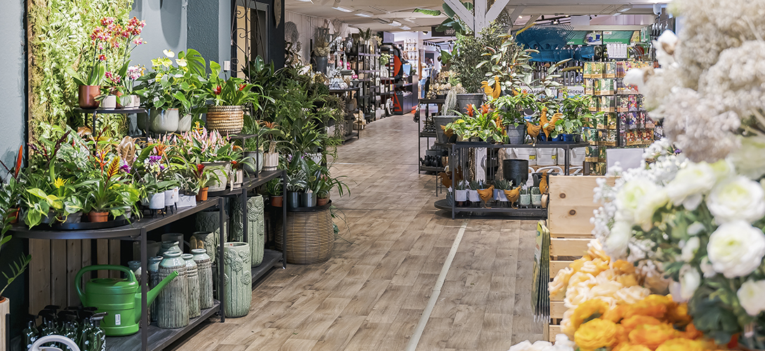Innenansicht eines Gartencenters mit Pflanzen, Blumentöpfen und Dekoartikeln auf Regalen