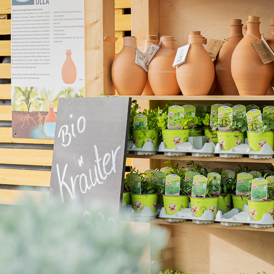 Regal mit Bio-Kräutertöpfen und Tonkrügen, daneben eine Kreidetafel mit Aufschrift