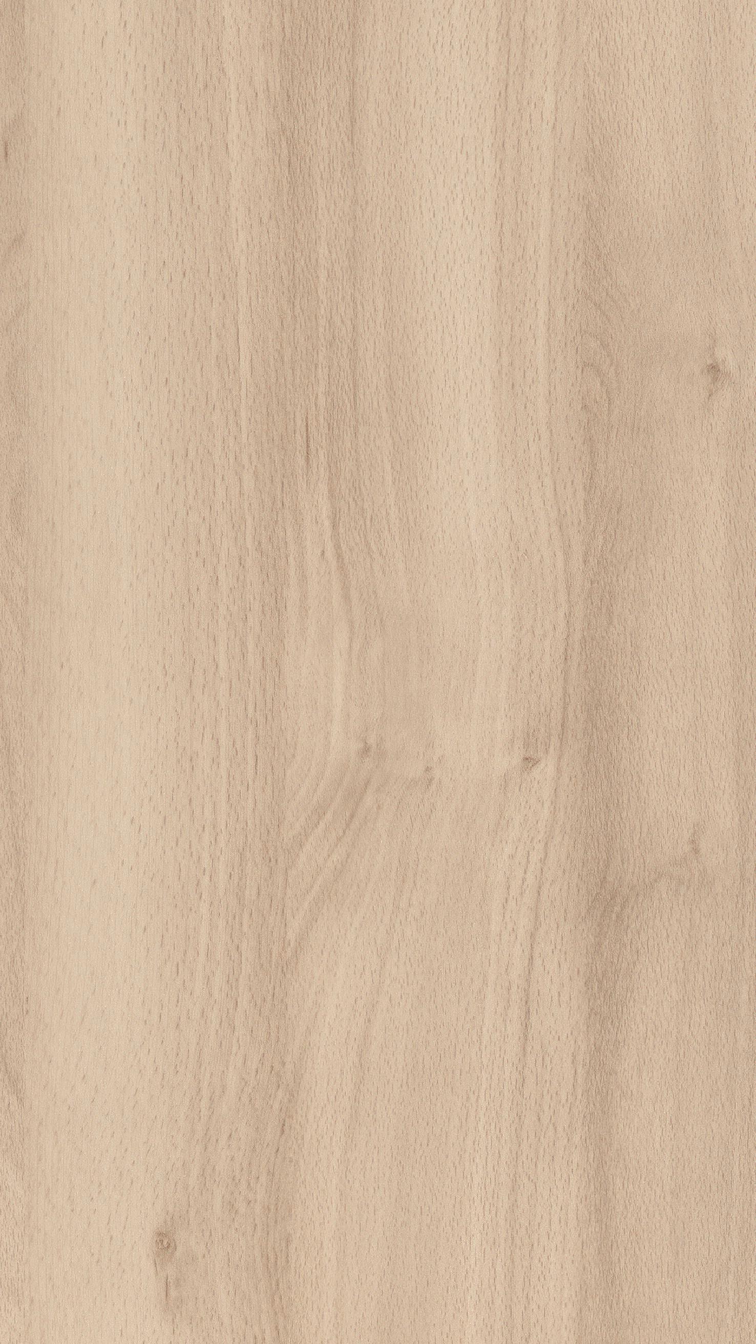 Buche pure 04094