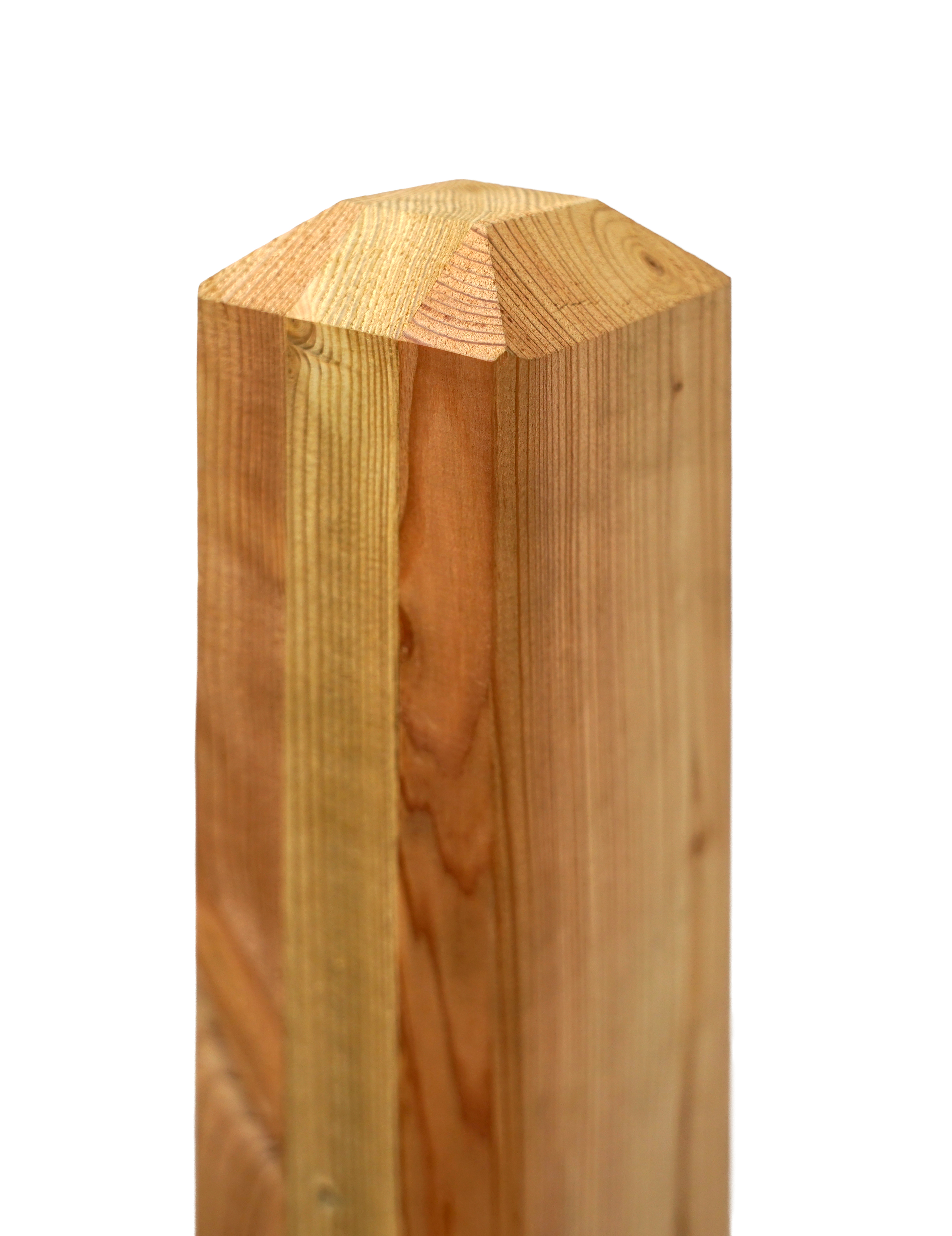 GartenLand Holzpfosten angeschrägte Spitze ca. 9×9×115 cm europäische Lärche – Serie GRAZ