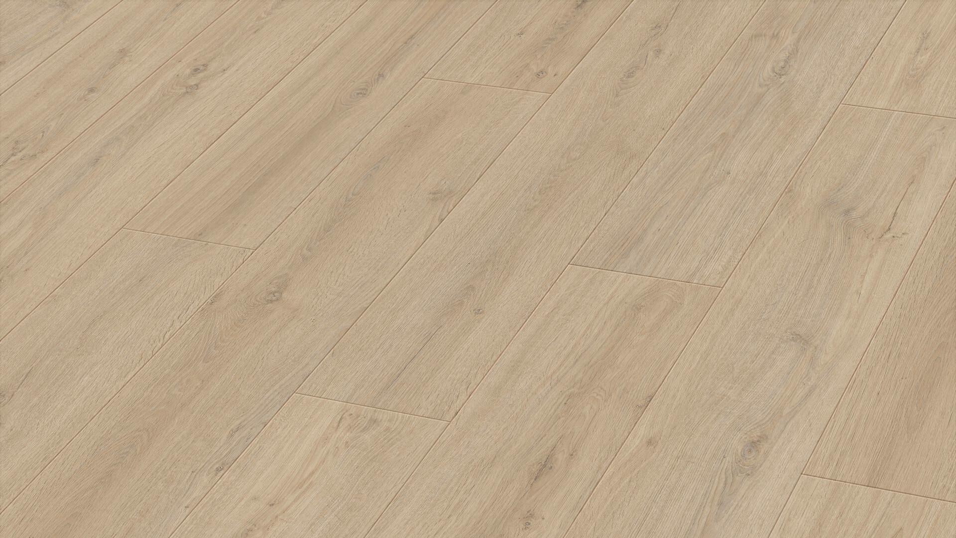 Felseneiche sand 7122