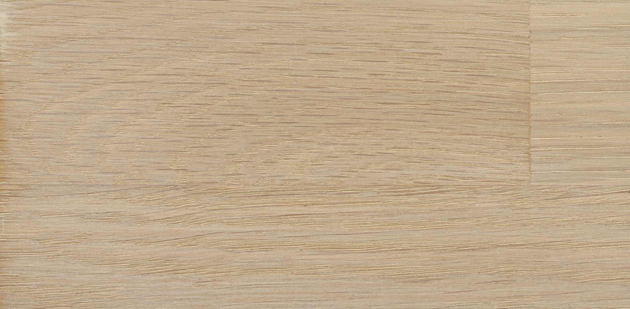 3136 Birke