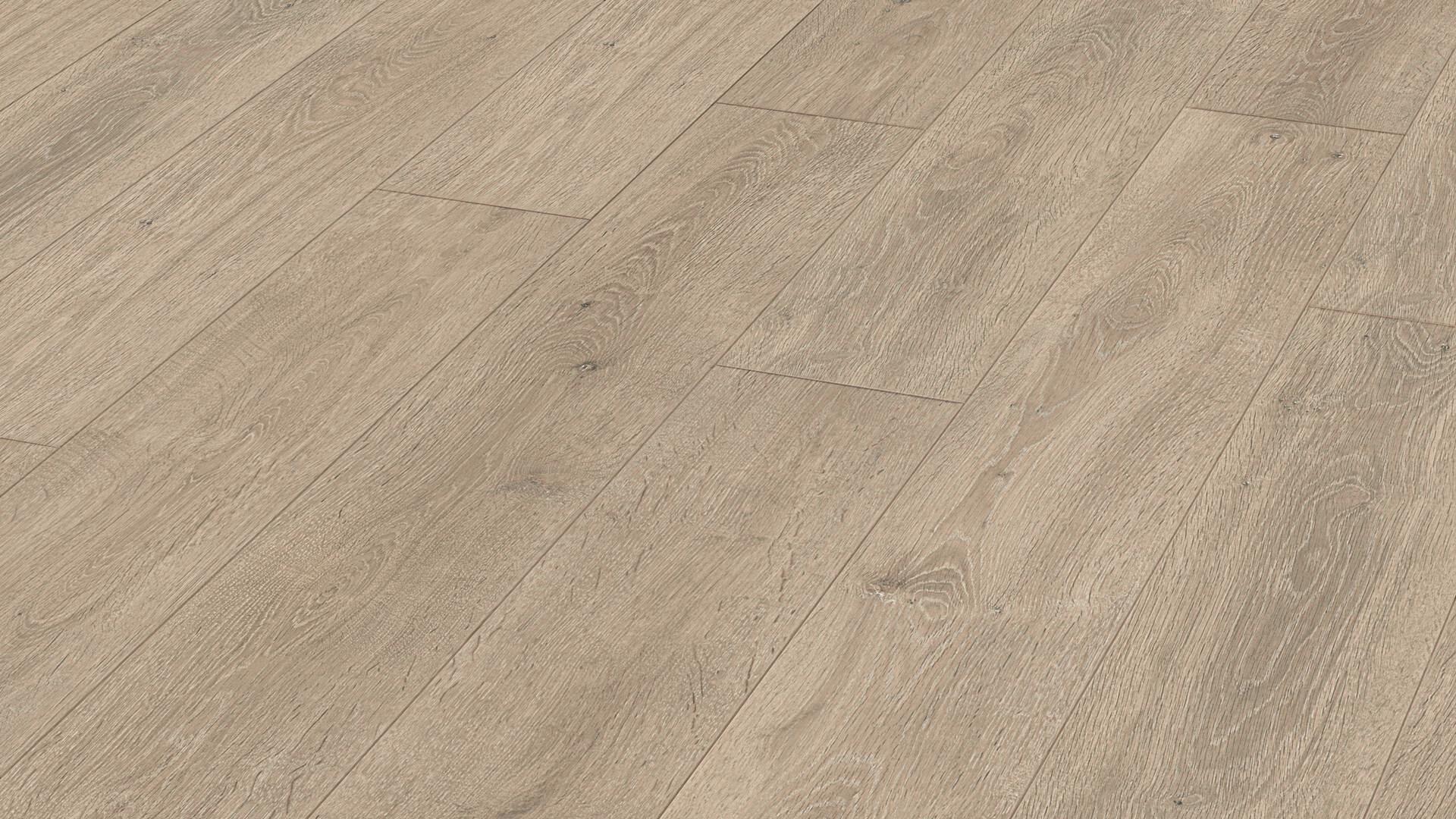 Eiche Habanera 6429