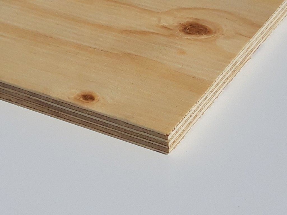 Elliottispine Sperrholzplatte 2,44 x 1,22 m C+/C WBP
