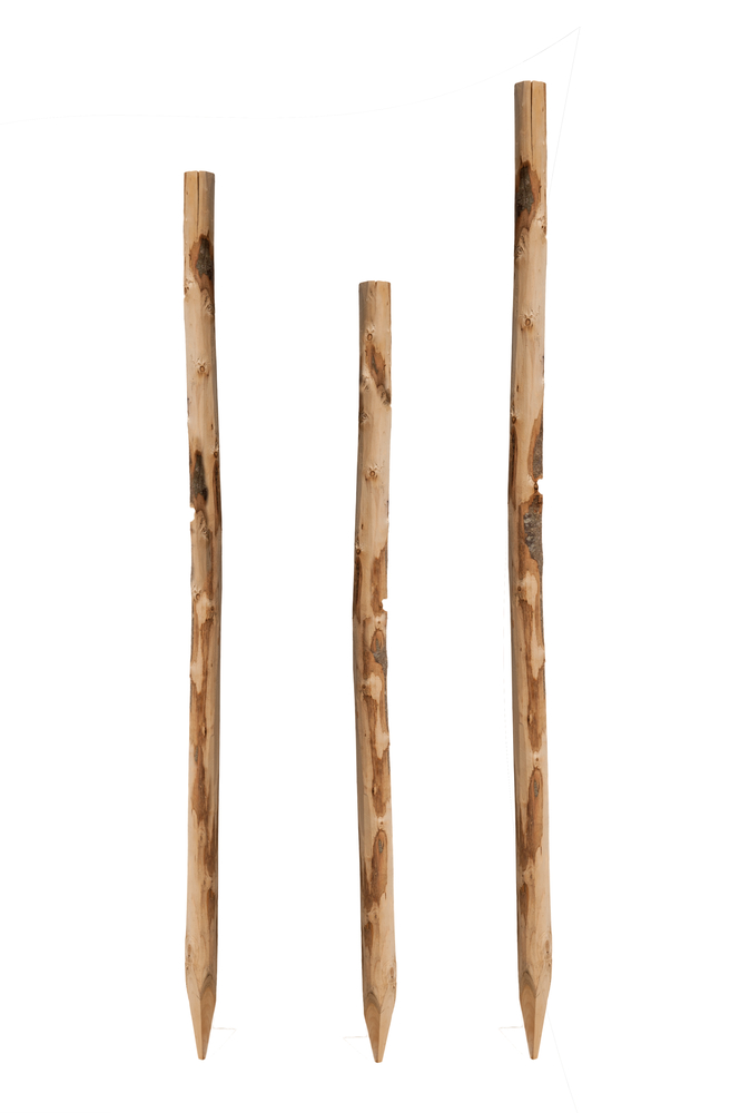 Kastanie Zaunpfahl 180cm angespitzt, naturgewachsen